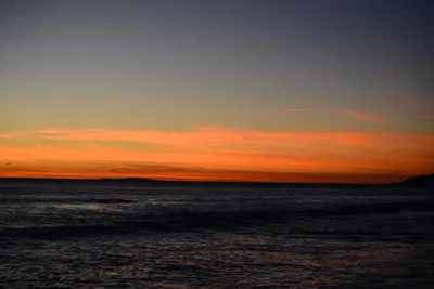 DSC_1309 (Large).JPG